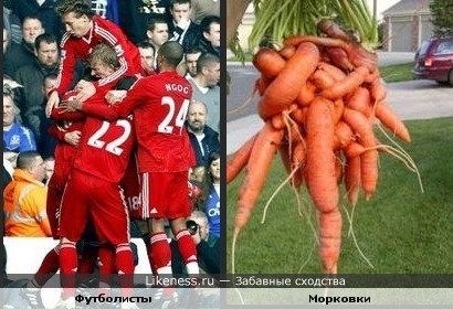 Футболисты, как морковки