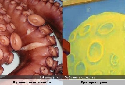 щупальцы луны