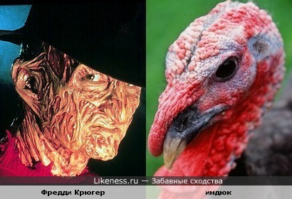 Фредди Крюгер похож на птицу
