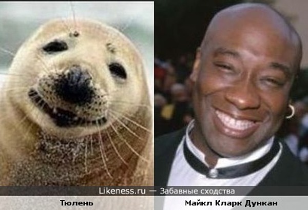 Michael_Duncan_big.jpg