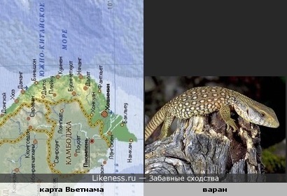 Карта Вьетнама похожа на варана