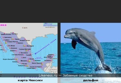 Карта Мексики похожа на дельфина