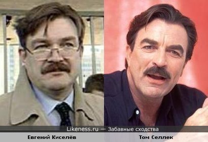 Евгений Киселёв и Том Селлек похожи