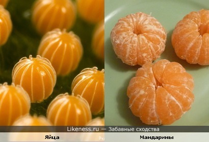 Яйца насекомого похожи на мандарины