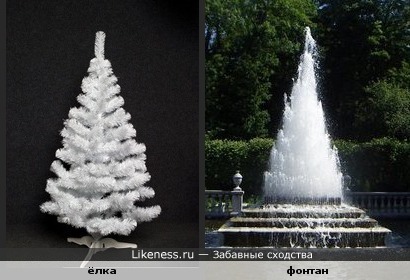 Еловый фонтан