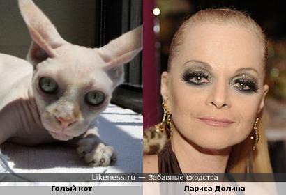 Лариса Долина и Голый Кот
