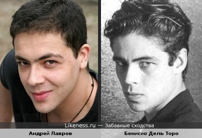 Андрей Лавров похож на Бенисио Дель Торо