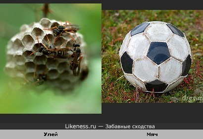 Футбольный домик