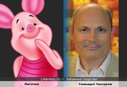 Геннадий Малахов похож на Пятачка
