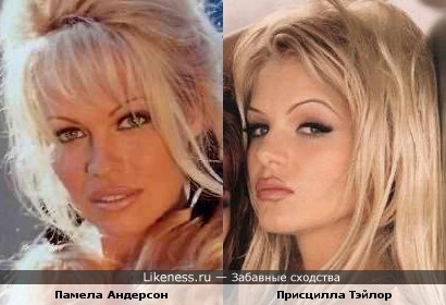 Памела Андерсон и Присцилла Тэйлор похожи