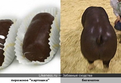 Бегемотик похож на пирожное