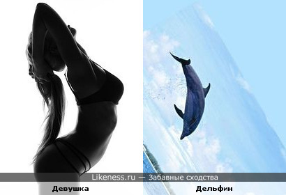 Дельфин в Изгибах Девушки
