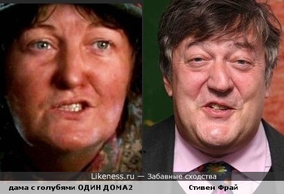 Стивен Фрай один дома