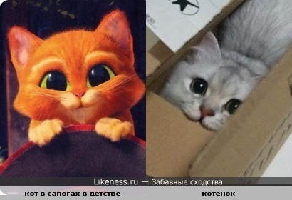 Ну разве не прелесть?)