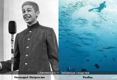 вассерман в.молодости фото онлайн вассерман в.молодости фото