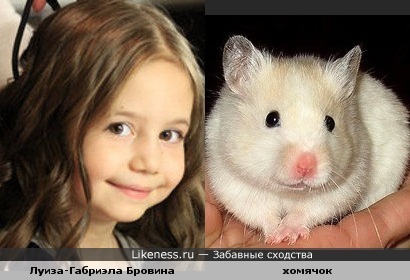 Габриэла Бровина похожа на хомяка