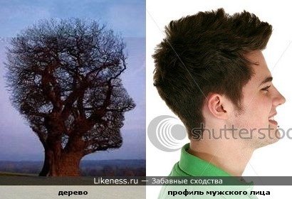 мне кажется похоже)