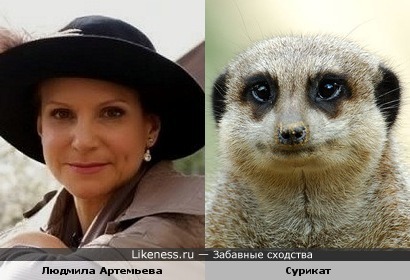 Не судите строго :), но просто меня давно заклинило, что есть сходство ))