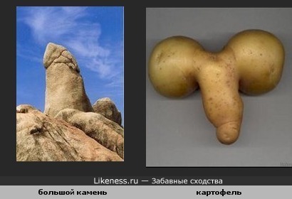Большой камень похож на картофель