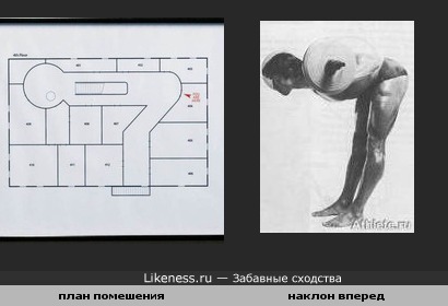 план помешения похож на человека со штангой