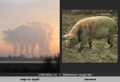 пар из труб похож на свинью