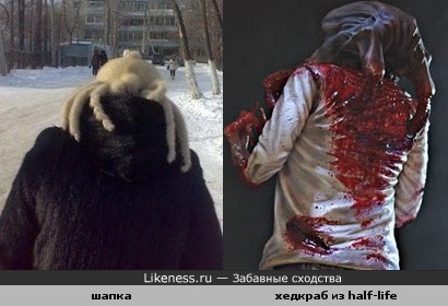 Шапка VS Headcrab(Hilf-life)