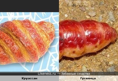 Круассан похож на гусеницу