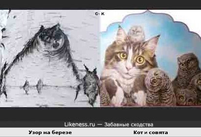 сова и кот картинки онлайн сова и кот картинки