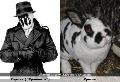 Кролик Роршаха