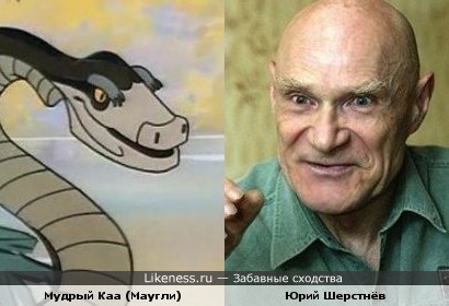 Актёр Юрий Шерстнёв напоминает Мудрого Каа