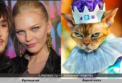 http://img.likeness.ru/uploads/users/925/Elena_Kuletskaya_cat.jpg