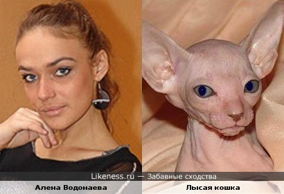 Что-то есть в ней от кошки)