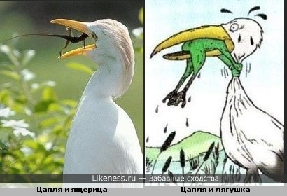Никогда не сдавайся!