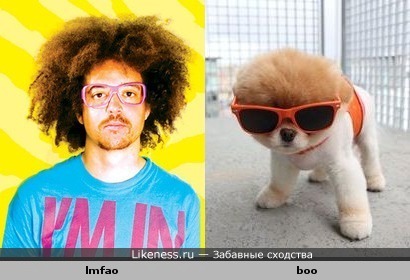 LMFAO похож на знаменитую собаку Boo