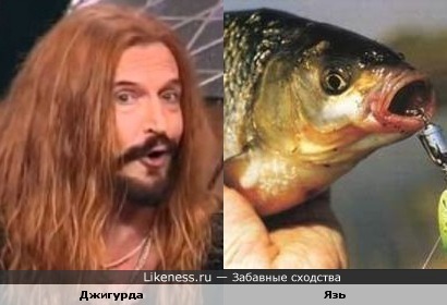 Джигурда и Язь - есть у них что-то неуловимо общее...