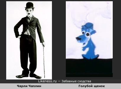 Чарли Чаплин похож на Голубого щенка