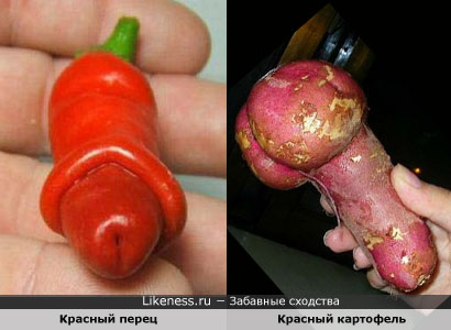 Красный перец похож на Красный картофель