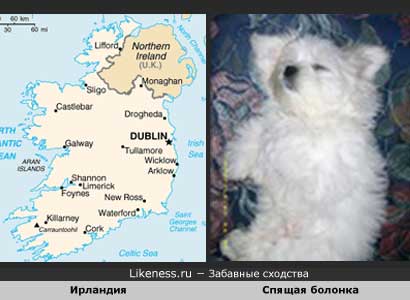 Карта Ирландии похожа на cпящего щенка