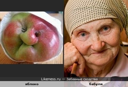 Яблоко похоже на бабулю