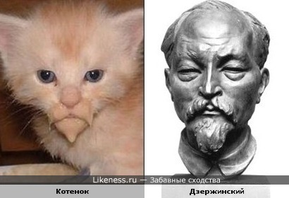 Котёнок Феликса Дзержинского