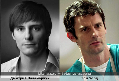 Дмитрий Паламарчук похож на Тома Уорда