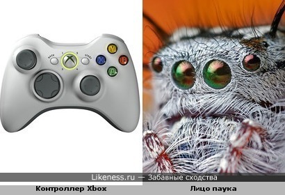 Контроллер Иксбокс похож на лицо паука