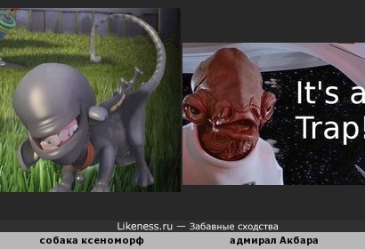 Собака из мультфильма "Планета 51" напоминает адмирала Акбара