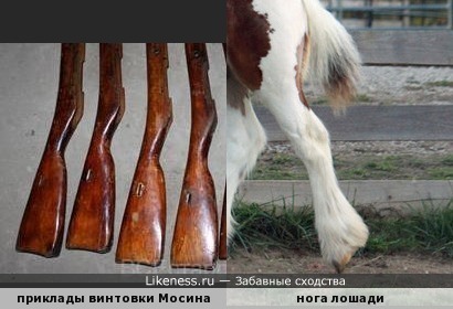 Приклад винтовки напоминает заднюю ногу лошади