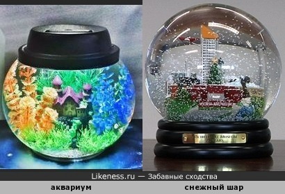 Круглый аквариум напоминает снежный шар