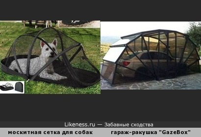Палатка-москитная сетка для собак напоминает мобильный гараж-ракушку &quot;GazeBox&quot;