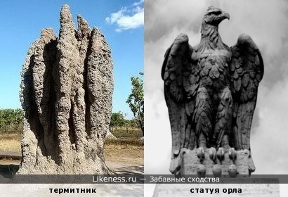Термитник напоминает римскую статую орла