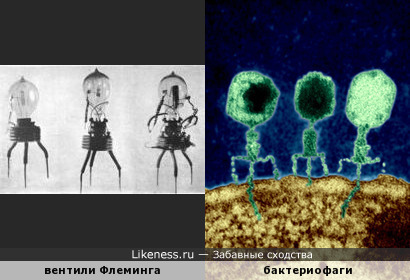 Вентили Флеминга (1904 г.) напоминают бактериофаги