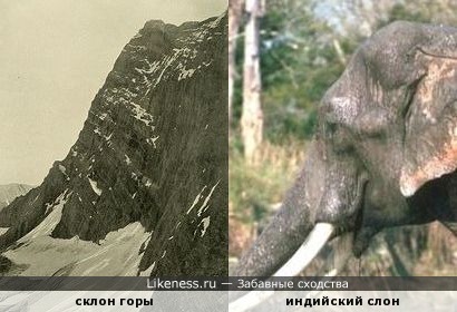 Склон горы (Канадские Скалистые горы, 1888 г.) напоминает голову слона