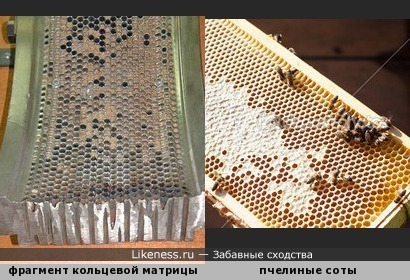 Фрагмент кольцевой матрицы пресса-гранулятора для производства пеллет (топливных гранул) напоминает пчелиные соты